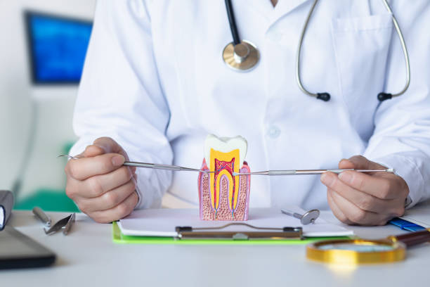 Best Urgent Dental Care for Toothache in Wharton, NJ